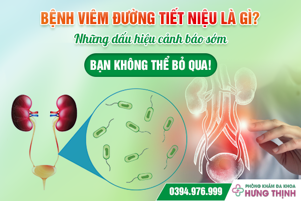 Bệnh viêm đường tiết niệu là gì?- Những dấu hiệu cảnh báo sớm bạn không thể bỏ qua!