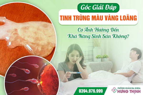 [Góc Giải Đáp]: Tinh Trùng Màu Vàng Loãng Có Ảnh Hưởng Đến Khả Năng Sinh Sản Không?