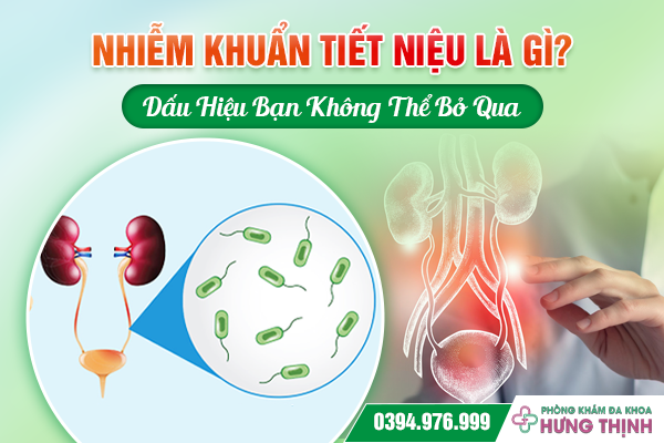 Nhiễm Khuẩn Tiết Niệu Là Gì? Dấu Hiệu Bạn Không Thể Bỏ Qua