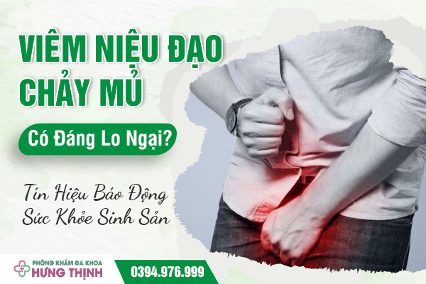  Viêm Niệu Đạo Chảy Mủ Có Đáng Lo Ngại? Tín Hiệu Báo Động Sức Khỏe Sinh Sản