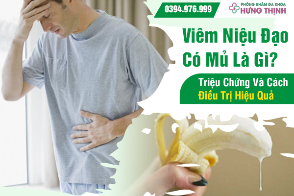 Viêm Niệu Đạo Có Mủ Là Gì? Triệu Chứng Và Cách Điều Trị Hiệu Quả