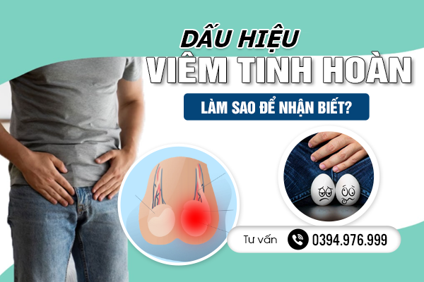 Dấu Hiệu Viêm Tinh Hoàn - Làm Sao Để Nhận Biết?