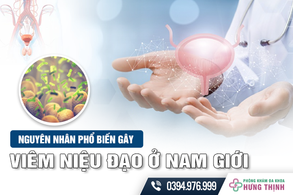 Nguyên Nhân Phổ Biến Gây Viêm Niệu Đạo Ở Nam Giới