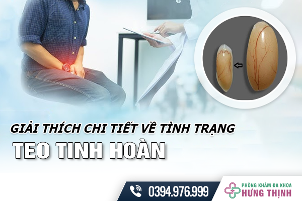 Giải Thích Chi Tiết Về Tình Trạng Teo Tinh Hoàn