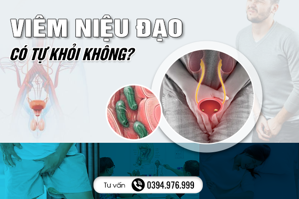 Viêm Niệu Đạo Có Tự Khỏi Không?