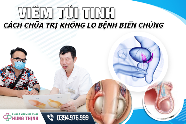 Viêm Túi Tinh Và Cách Chữa Trị Không Lo Bệnh Biến Chứng