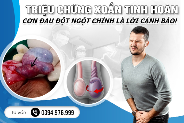 Triệu Chứng Xoắn Tinh Hoàn - Cơn Đau Đột Ngột Chính Là Lời Cảnh Báo!